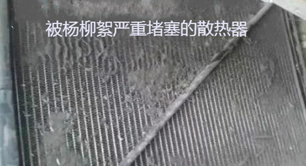 青岛空压机